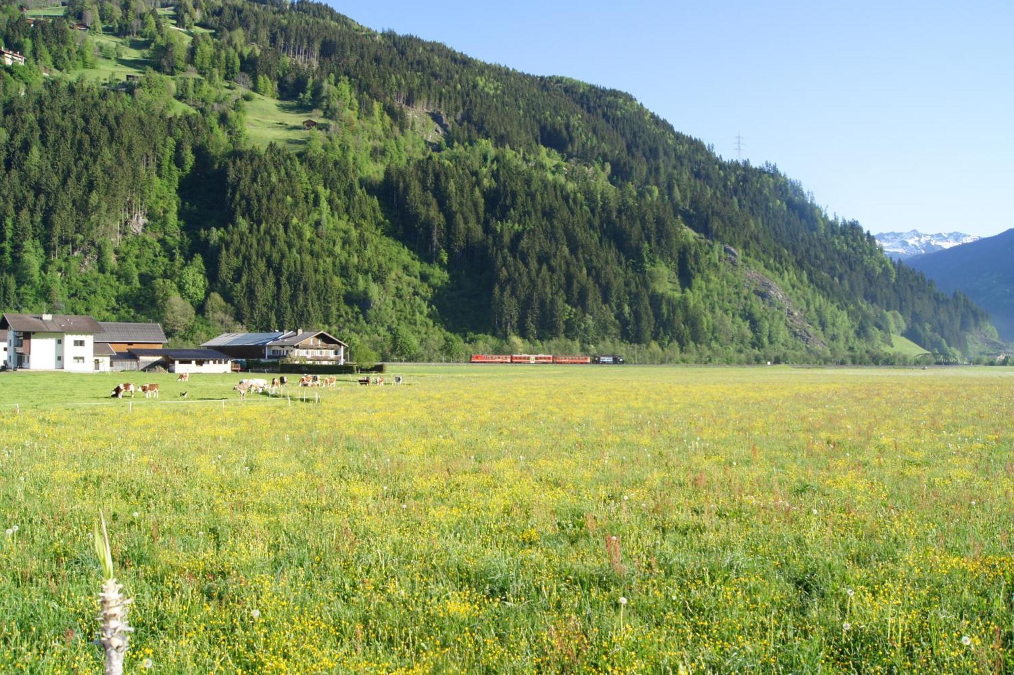 Appartement Kuen Zell am Ziller Bagian luar foto